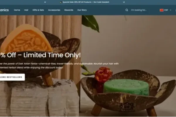 万网归一，时间的奇迹-踏云行