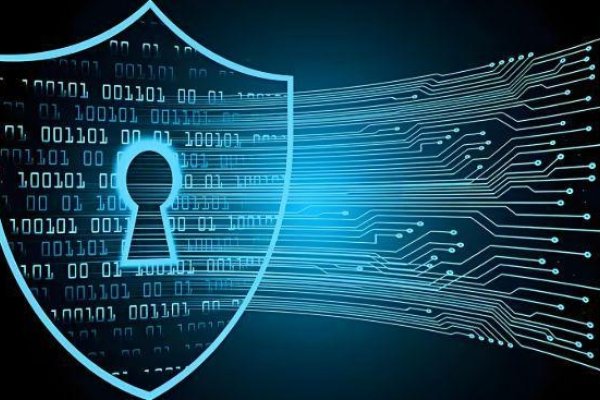 网络空间安全技术，守护数字世界的防线-踏云行