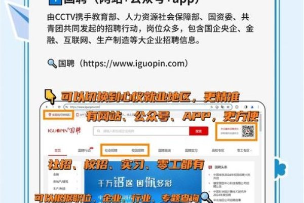 网站开发及维护招聘，寻找技术精英，共创未来数字世界-踏云行