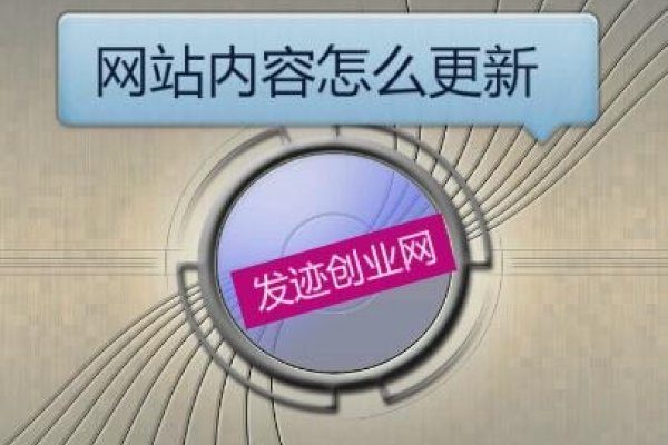 网站SEO内容更新的重要性及策略-踏云行