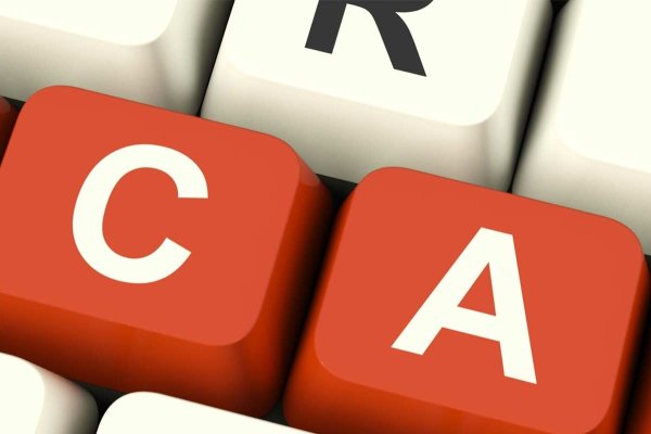 西安SEO与仿真花加工骗局揭秘，如何防范网络诈骗？站内优化技巧分享。-踏云行