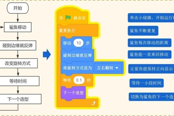 编程网课免费视频，了解排名前十机构学习编程语言-踏云行