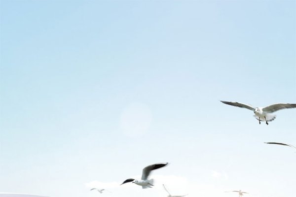 租车预定新体验，享受驾驶乐趣，开启快乐生活之旅-踏云行