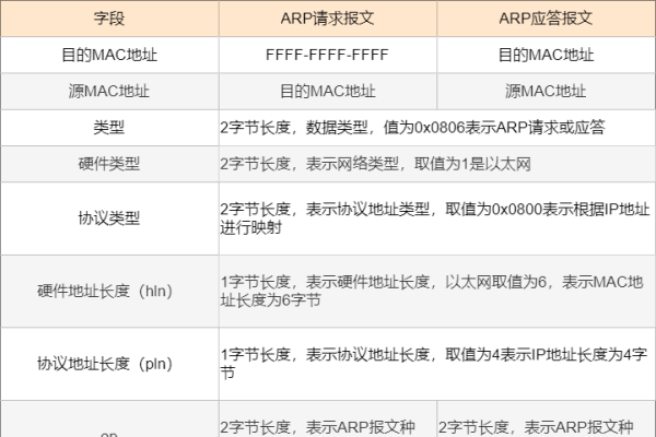 免费加速器神灯，点亮网络世界的神奇工具-踏云行