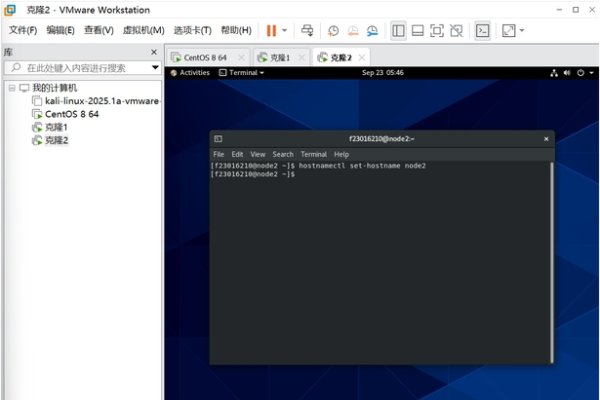 免费虚拟主机大全，如何选择及操作-踏云行