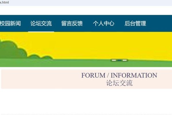 构建优质网站，模板与论坛的完美结合-踏云行