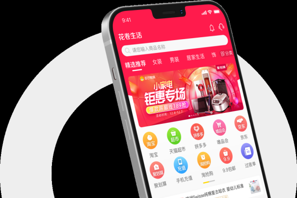 淘客APP开发指南，团长抖客系统介绍及玩法培训-踏云行