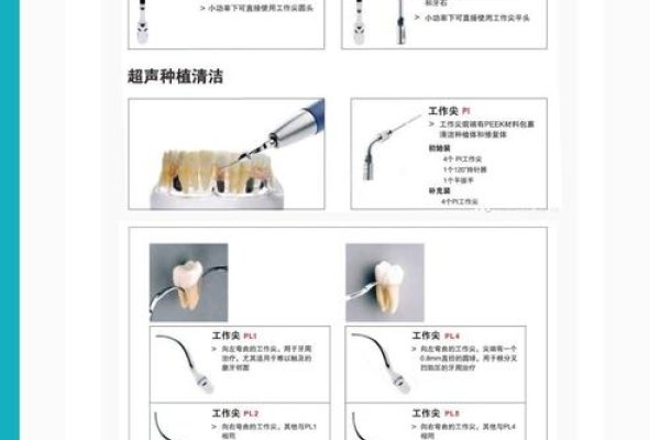 荷兰G口服务器详解，高性能网络应用与选择指南-踏云行