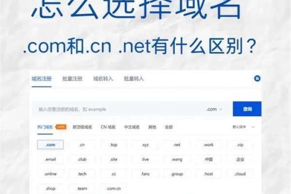 域名查询新资讯-踏云行