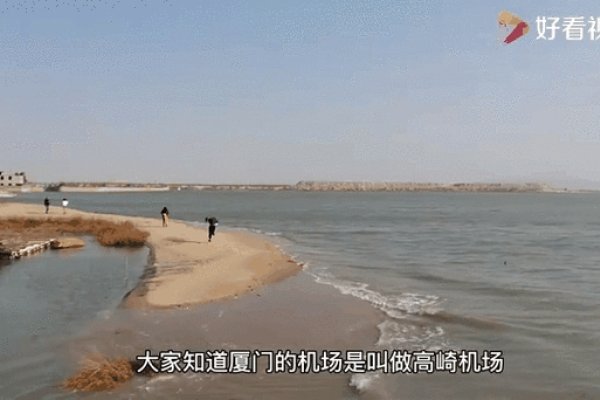 厦门机场建设动态，中标单位及工程信息解析-踏云行