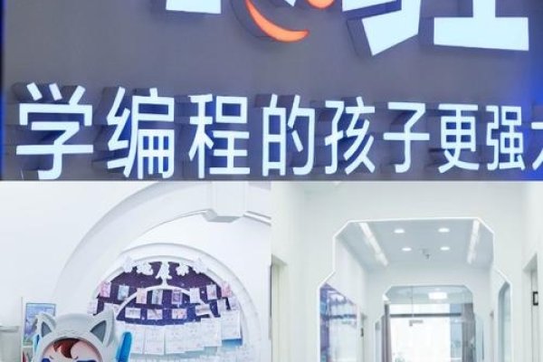 小码王少儿编程官网，探索编程教育的新篇章-踏云行