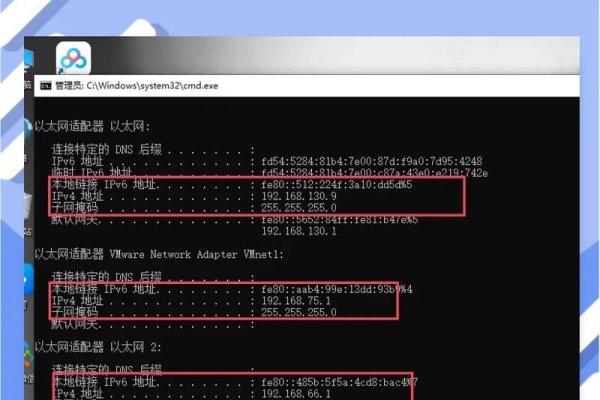 域名IP查询系统，快速解析域名的IP地址工具-踏云行