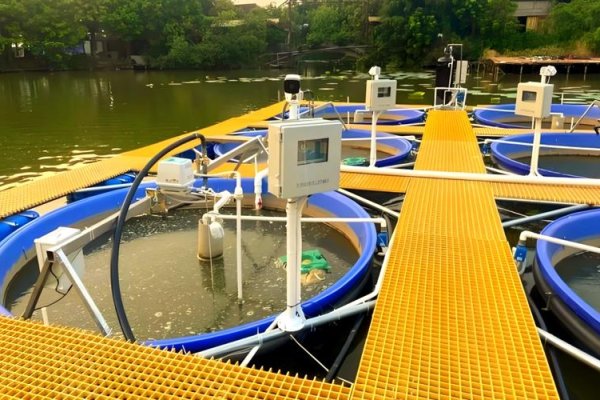 智能水产养殖系统-踏云行