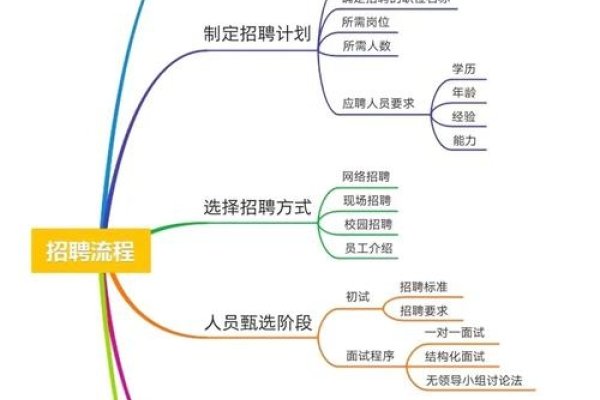 南宁一站网网络技术公司,招聘、发展及管理模式解读-踏云行