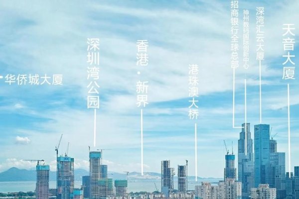 南山城网站建设，塑造城市新形象，推动数字经济发展-踏云行