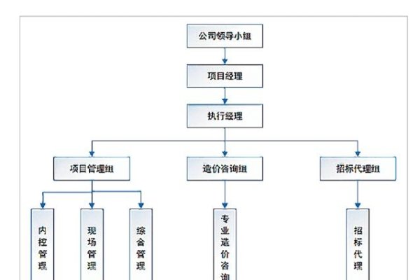 委托代建服务模式与招标策略解析-踏云行