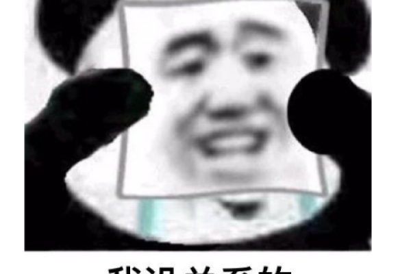 探究国外主机游戏盛行的原因-踏云行