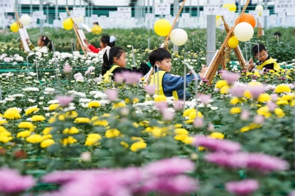 秦淮区公共资源租赁平台，构建高效资源整合新模式-踏云行