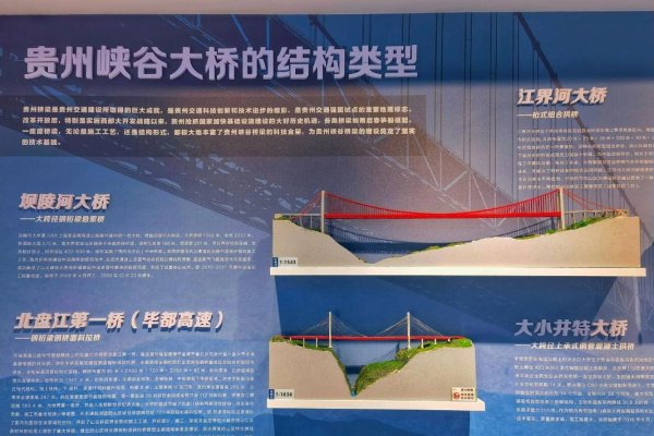 蜘蛛网工程造价官网，全面解析与高效服务的桥梁-踏云行