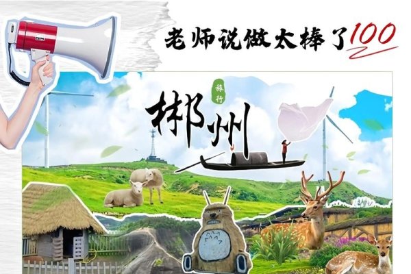 郴州网站建设与科技公司介绍及推广平台概览-踏云行