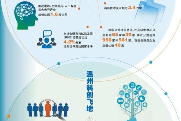 温州网站优化发展历程概述-踏云行