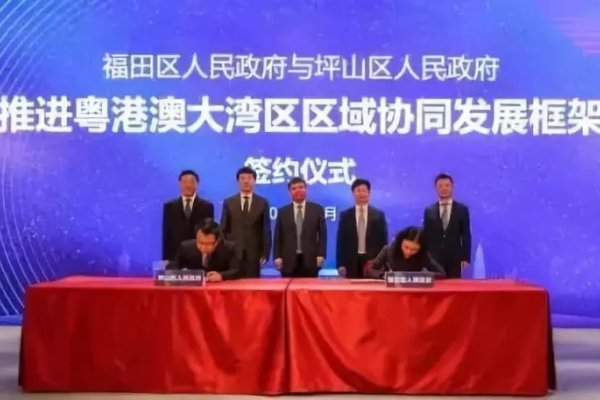 漳州网站建设与深圳追格的紧密合作-踏云行