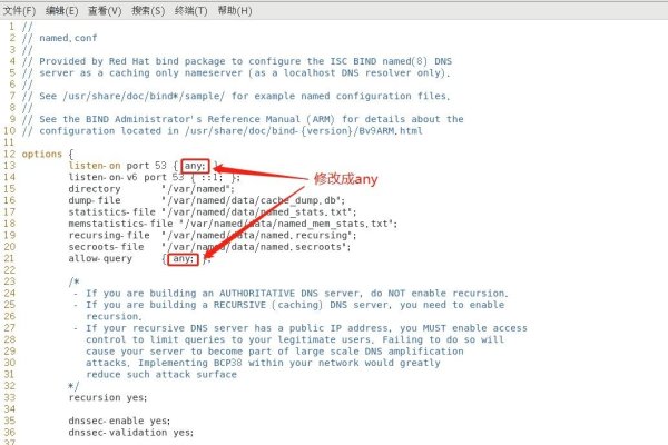 DNS服务器安装与配置详解-踏云行