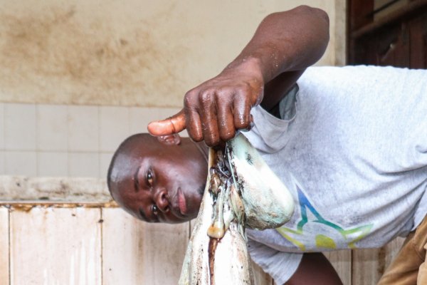 LA域名为何在市场上不受欢迎？-踏云行