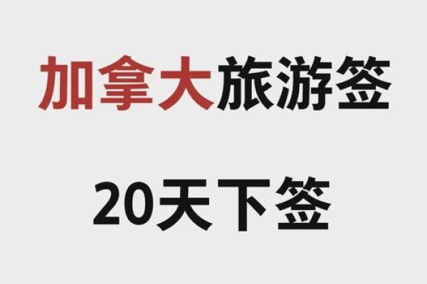 LA域名购买指南-踏云行