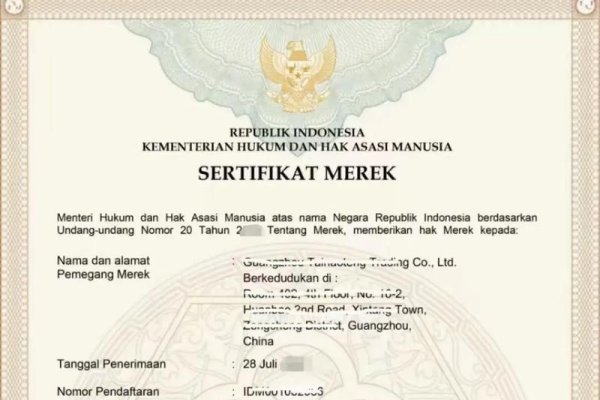 IN域名，印度国家代码的网站标识-踏云行