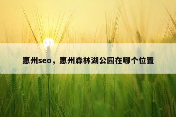 惠州SEO网络优化专家，叶剑辉-踏云行