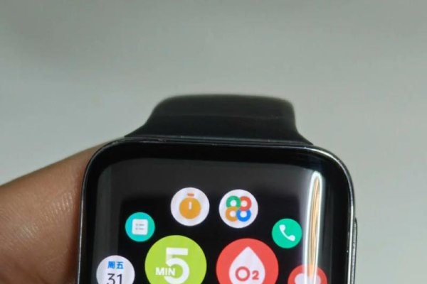 OPPO Watch 2 IP地址查询-踏云行