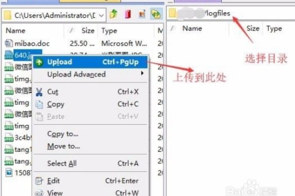 FTP软件，文件传输的利器-踏云行