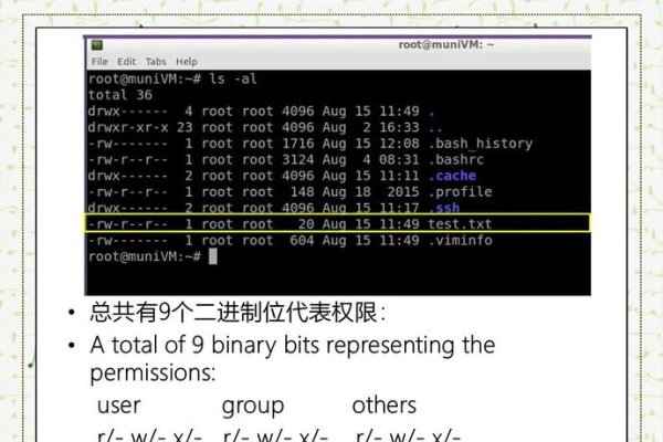 CentOS二进制文件执行与权限问题解析-踏云行
