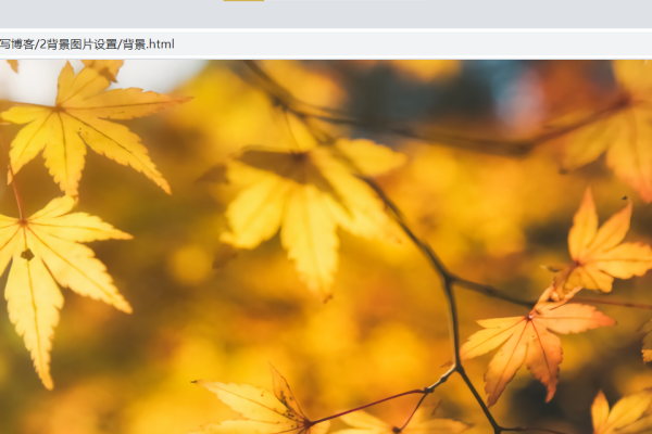 HTML中将图片作为背景的方法-踏云行