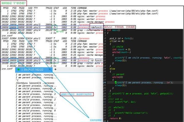 Linux查进程杀僵尸-踏云行