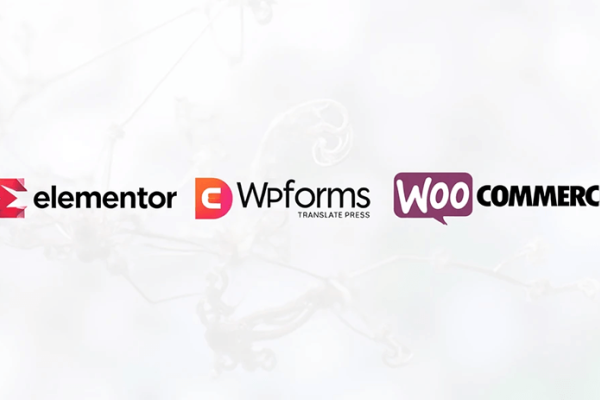 WordPress产品展示插件WooCommerce详解，构建在线商店与商品展示功能介绍-踏云行