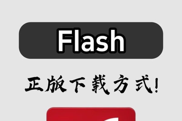 Flash插件与闪剪软件使用指南，下载、安装及启用步骤-踏云行