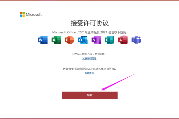 Access官方下载指南-踏云行