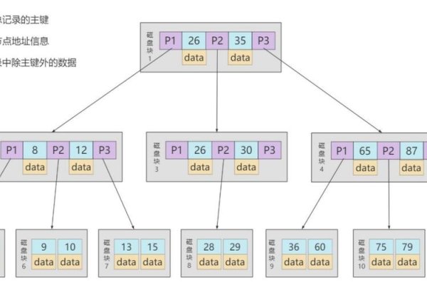 MySQL为何选择B+树而非B树的索引结构解析-踏云行