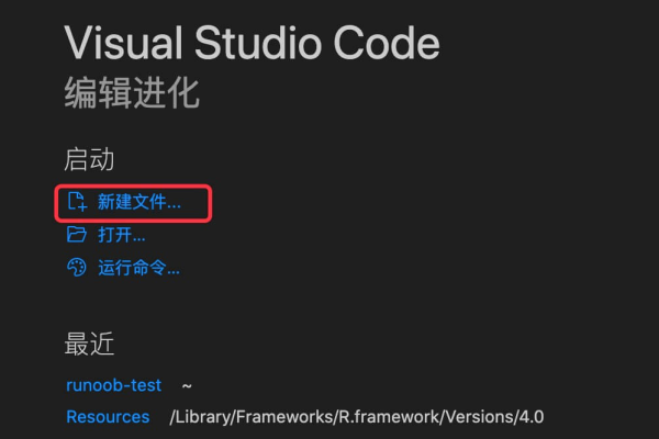 VSCode大纲视图，Python代码高效导航与语言服务器配置指南-踏云行