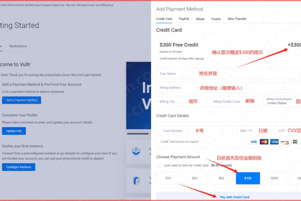 Vultr建站教程，从充值到服务器选购与DNS设置全攻略-踏云行