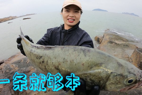 鲍鱼最新网名查询-踏云行