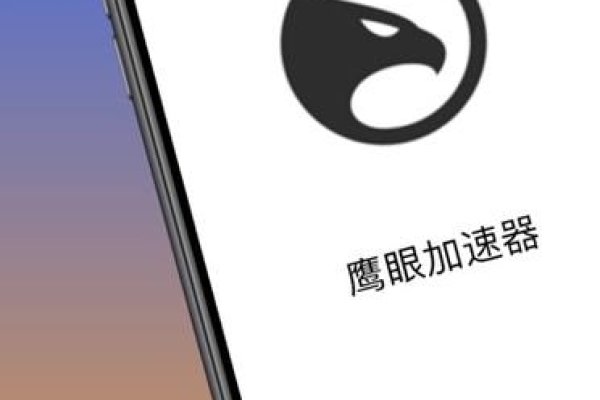 鹰眼加速器苹果版，提升网络体验的利器-踏云行