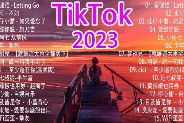 抖音热门歌曲探秘-踏云行