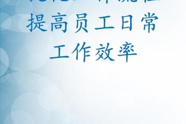 优化公司流程提升效率与公众满意度-踏云行