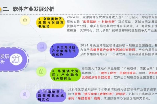 中国OA软件开发的崛起与展望-踏云行