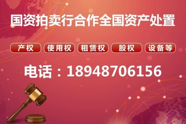 中文域名网站拍卖，竞拍与策略-踏云行