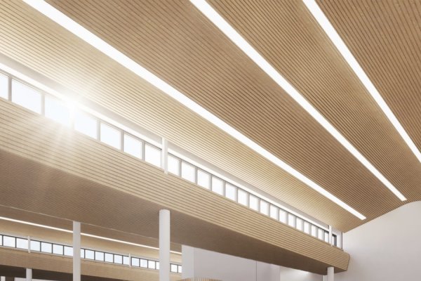 制作一个学校网站,打造校园数字化新门户-踏云行